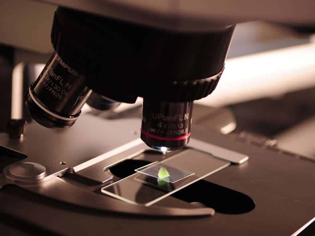 ¿Cómo podemos ayudarte a finalizar tu tesis de ingeniería química? 