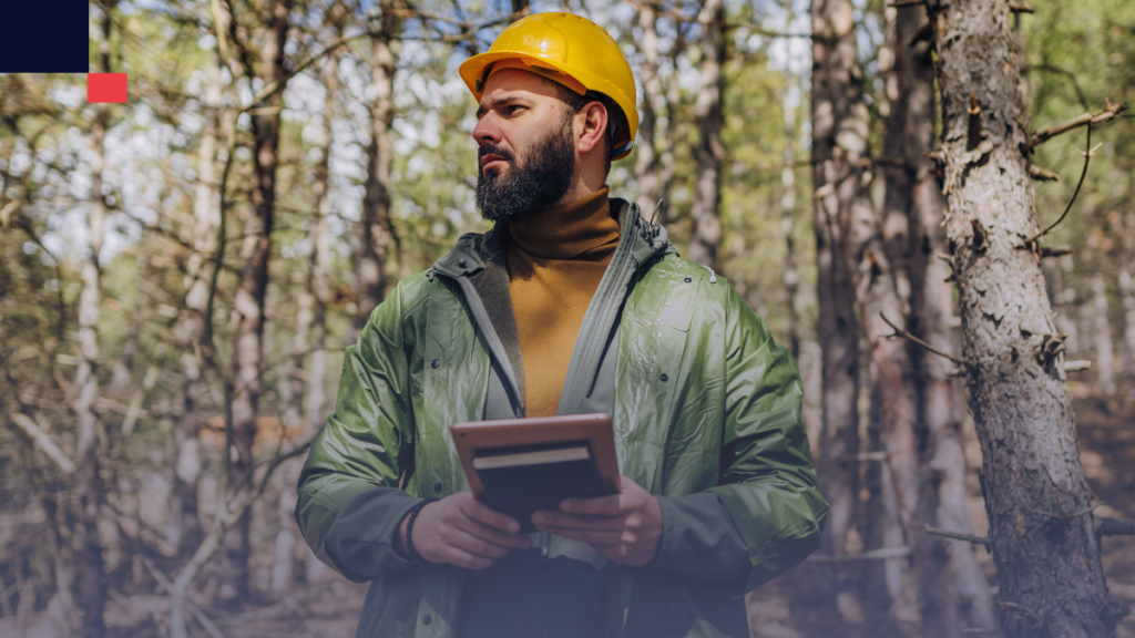 ingenieria forestal