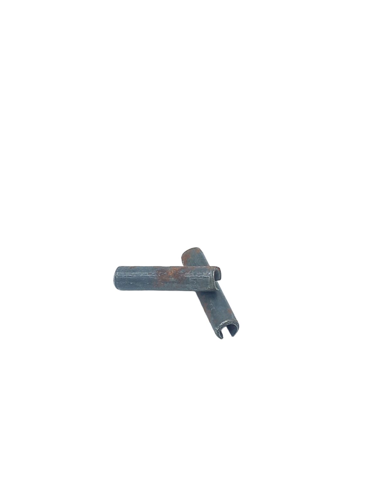 239138.jpg